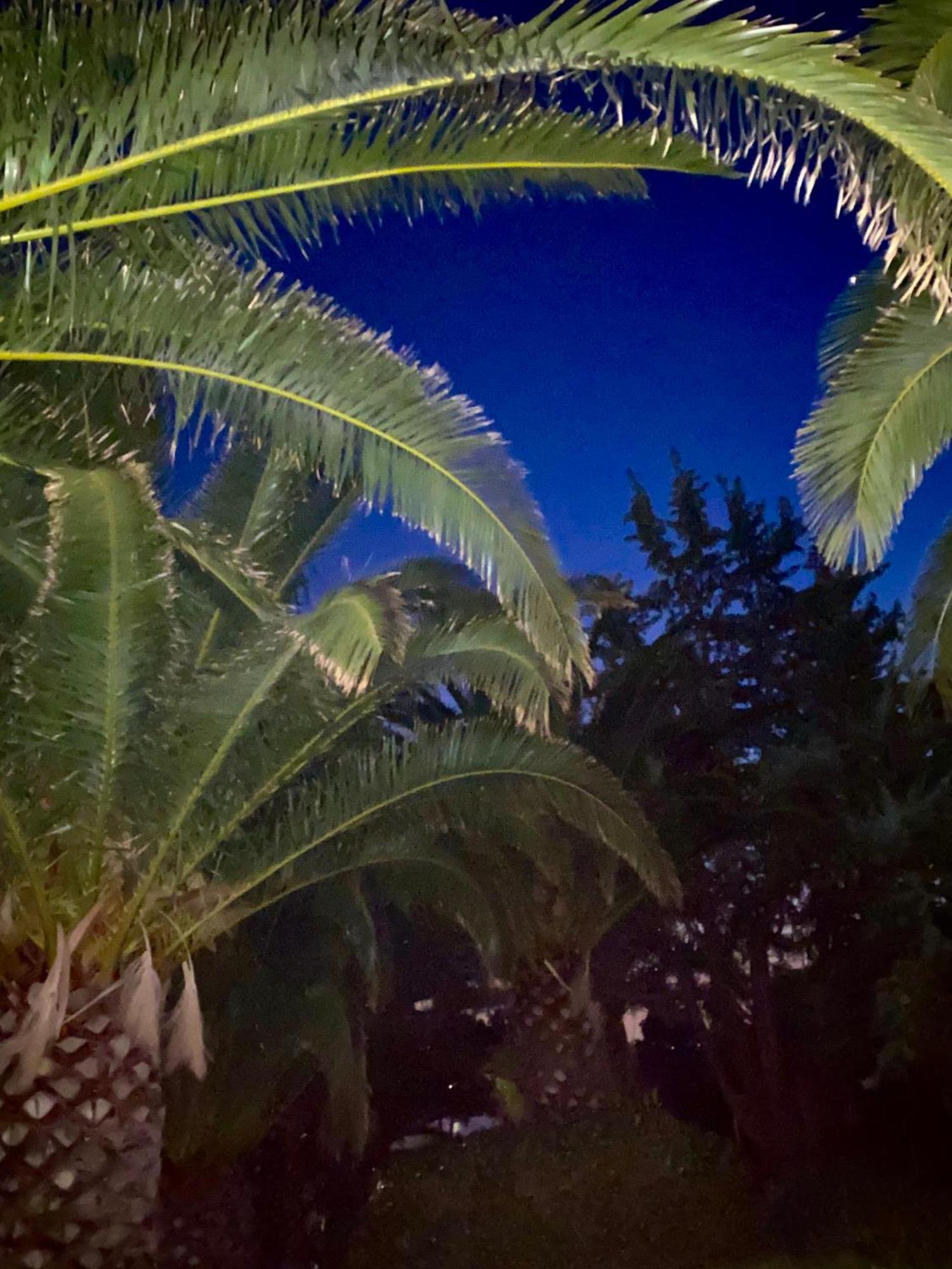 Hotel I Ginepri Quartucciu Dış mekan fotoğraf